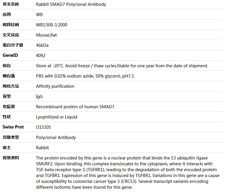 SMAD7 Antibody,索莱宝,K005769P-50ul