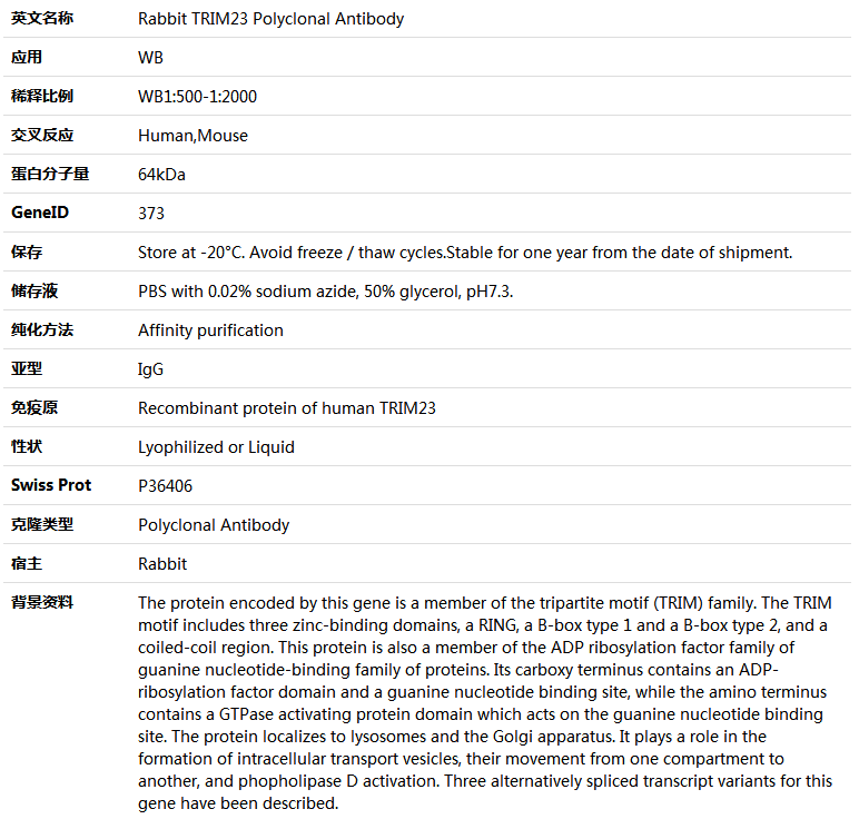 TRIM23 Antibody,索莱宝,K005761P-100ul