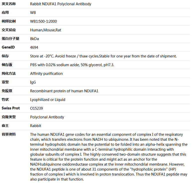 NDUFA1 Antibody,索莱宝,K005759P-50ul