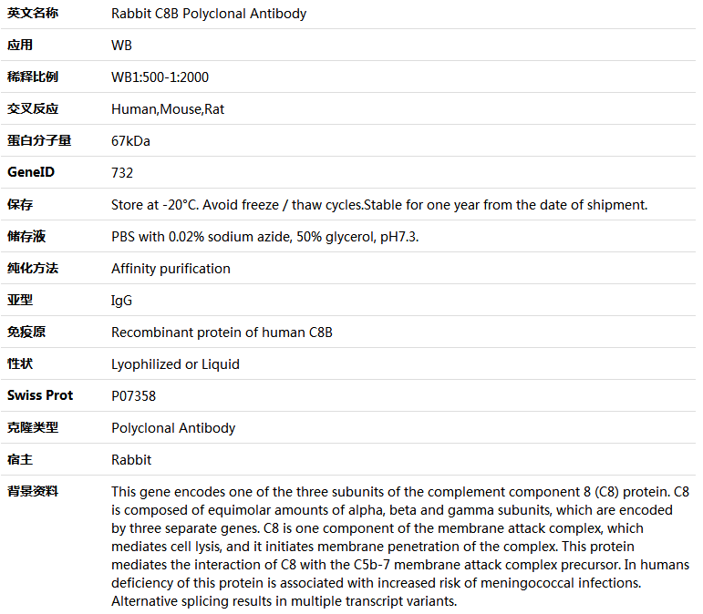C8B Antibody,索莱宝,K005758P-100ul