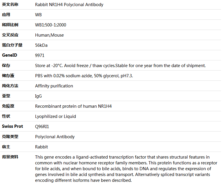 NR1H4 Antibody,索莱宝,K005756P-30ul