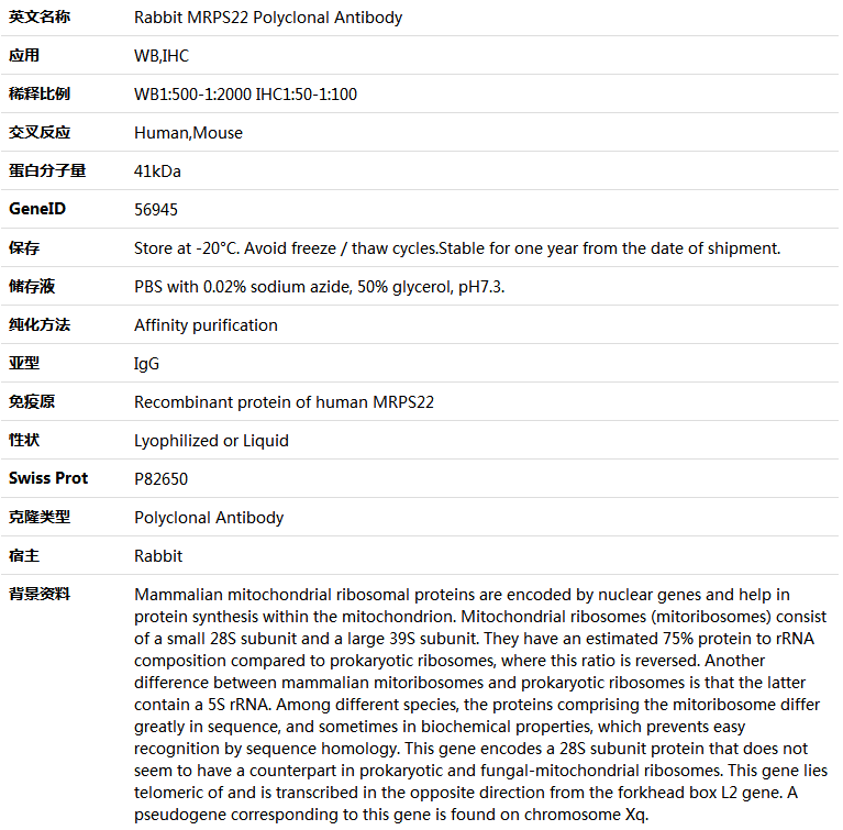 MRPS22 Antibody,索莱宝,K005755P-50ul