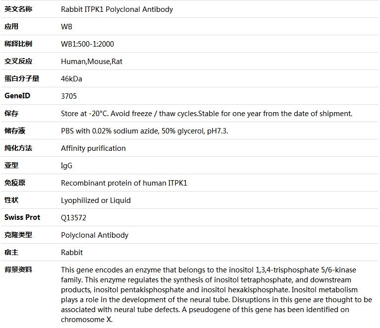 ITPK1 Antibody,索莱宝,K005751P-100ul