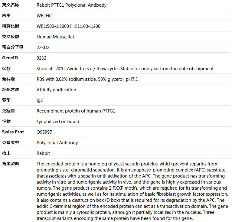 PTTG1 Antibody,索莱宝,K005746P-30ul