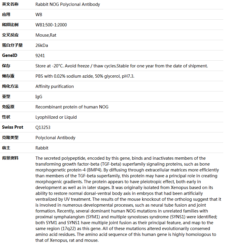 NOG Antibody,索莱宝,K005744P-50ul