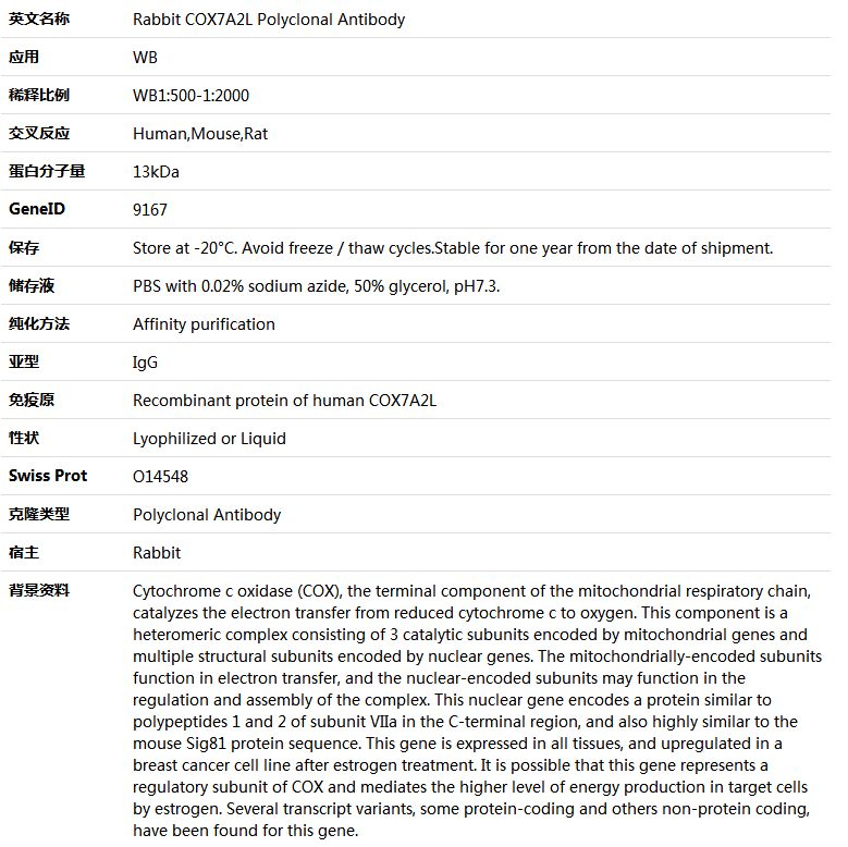 COX7A2L Antibody,索莱宝,K005742P-50ul