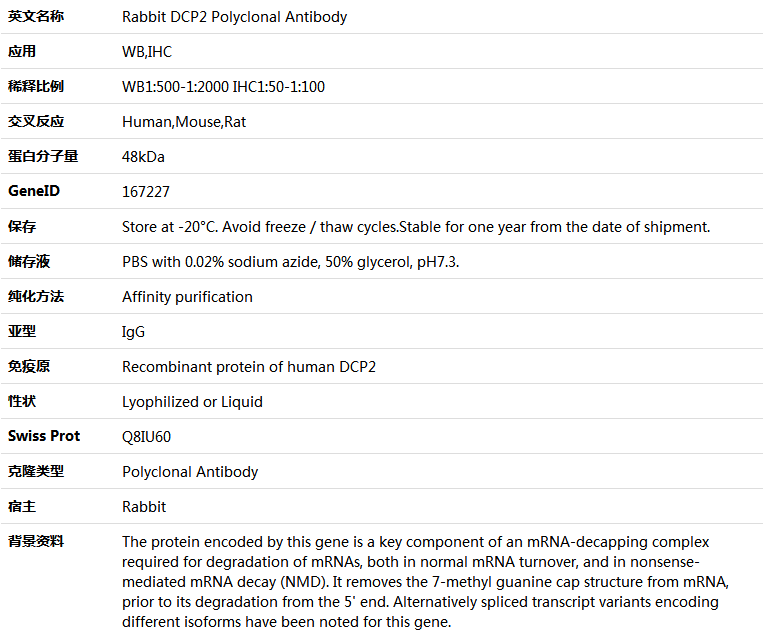 DCP2 Antibody,索莱宝,K005736P-100ul