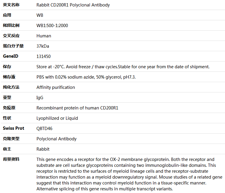 CD200R1 Antibody,索莱宝,K005735P-100ul