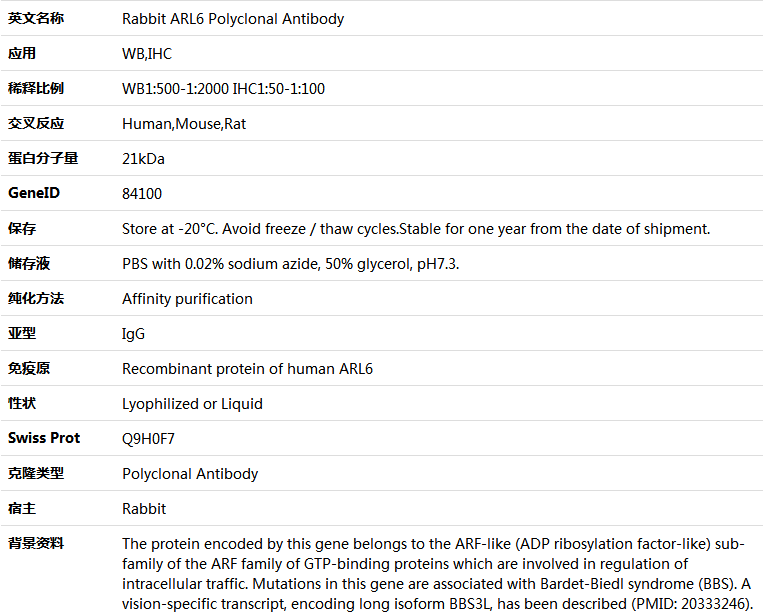 ARL6 Antibody,索莱宝,K005733P-100ul