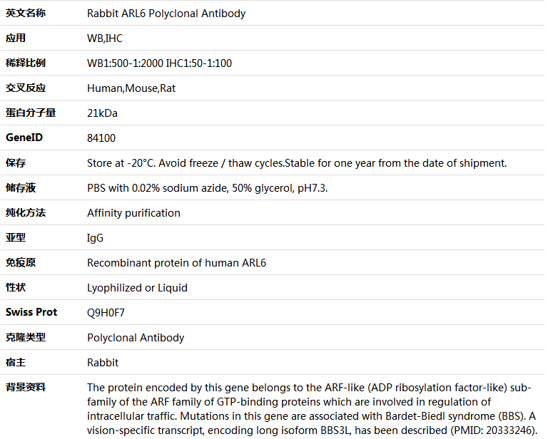 ARL6 Antibody,索莱宝,K005733P-50ul