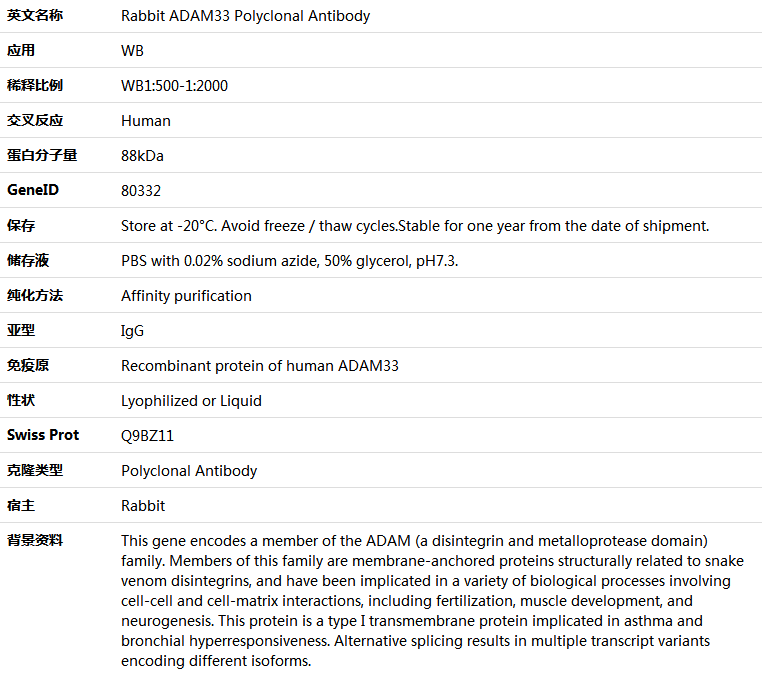 ADAM33 Antibody,索莱宝,K005729P-100ul