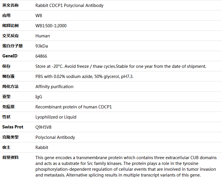 CDCP1 Antibody,索莱宝,K005726P-50ul
