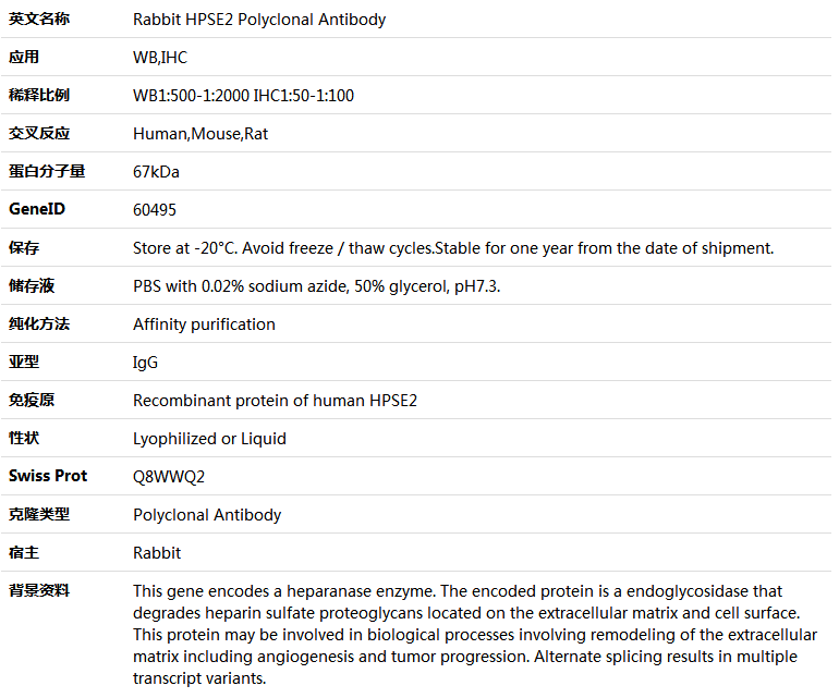 HPSE2 Antibody,索莱宝,K005724P-100ul
