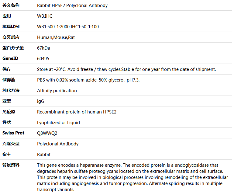 HPSE2 Antibody,索莱宝,K005724P-50ul