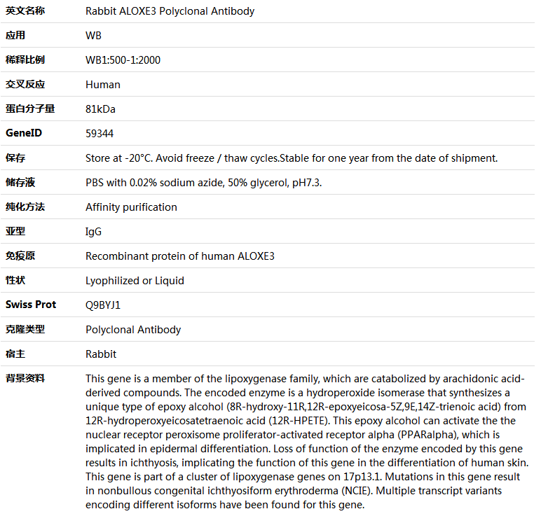 ALOXE3 Antibody,索莱宝,K005723P-50ul