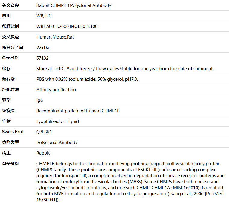 CHMP1B Antibody,索莱宝,K005722P-50ul