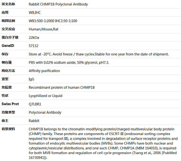 CHMP1B Antibody,索莱宝,K005722P-100ul