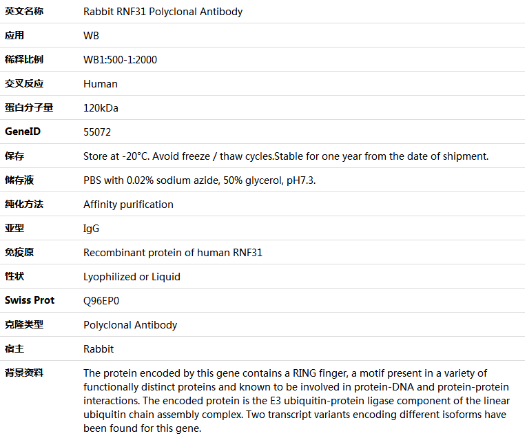 RNF31 Antibody,索莱宝,K005716P-30ul