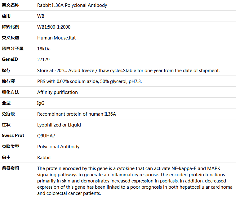 IL36A Antibody,索莱宝,K005710P-100ul