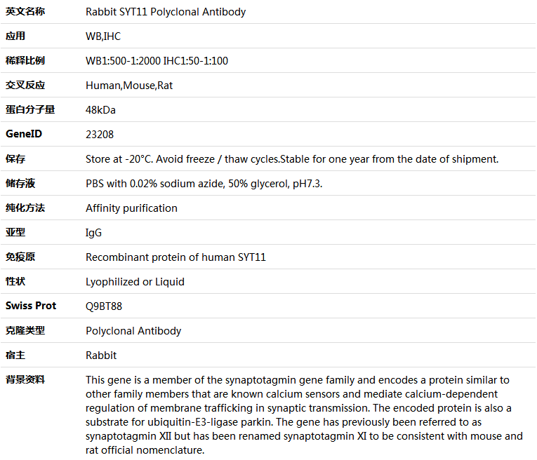 SYT11 Antibody,索莱宝,K005705P-50ul