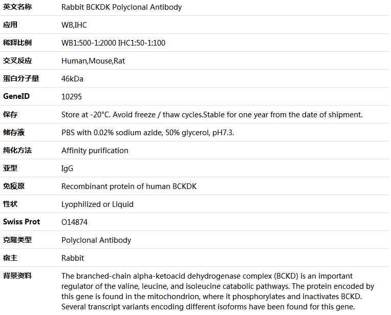 BCKDK Antibody,索莱宝,K005697P-100ul
