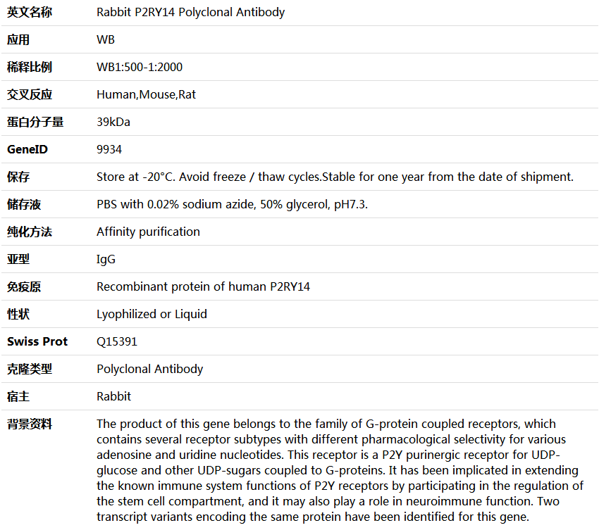 P2RY14 Antibody,索莱宝,K005693P-30ul