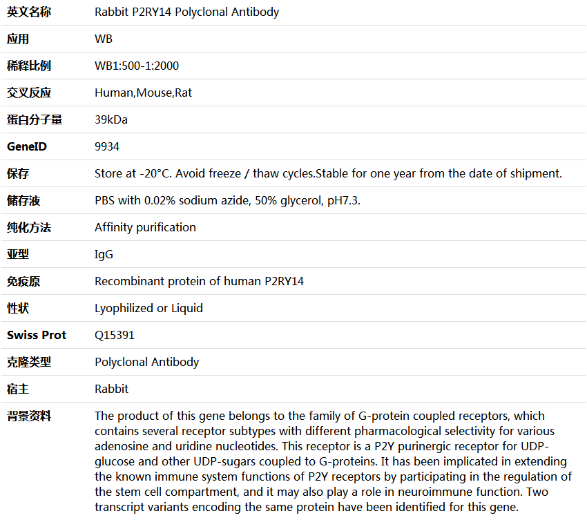 P2RY14 Antibody,索莱宝,K005693P-100ul