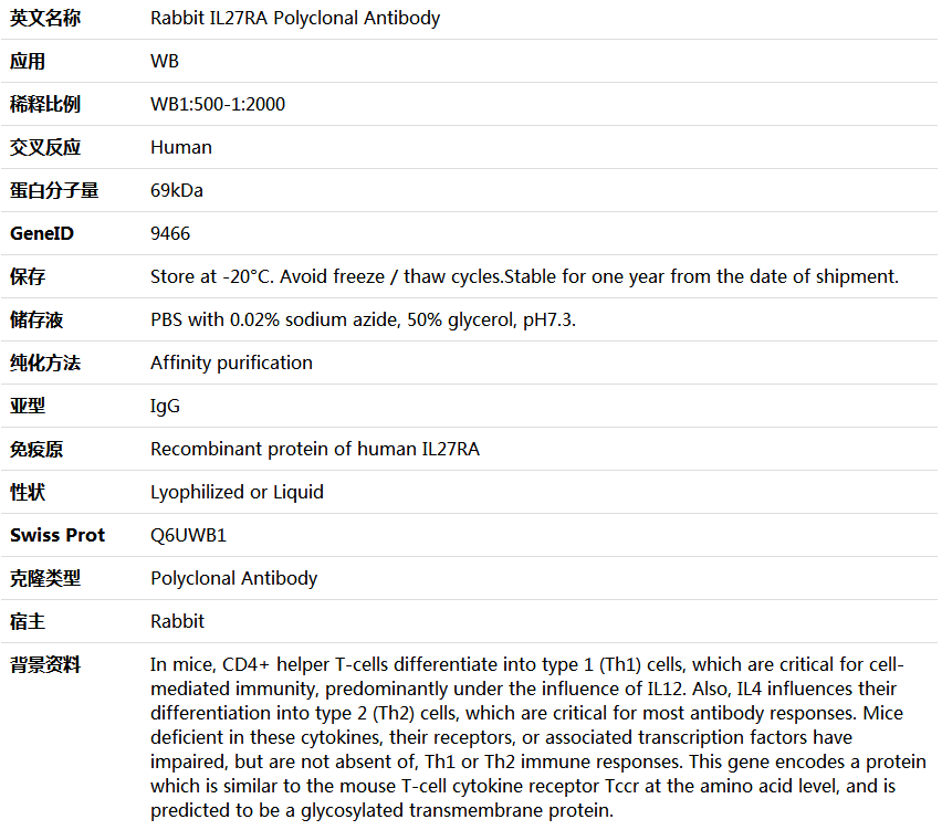 IL27RA Antibody,索莱宝,K005692P-100ul