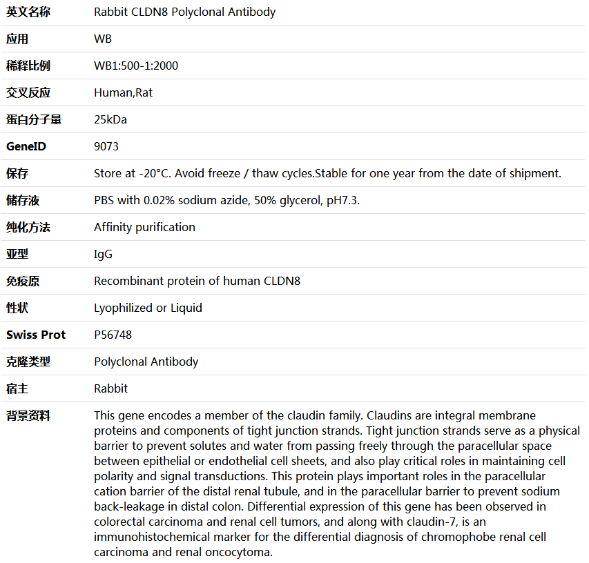 CLDN8 Antibody,索莱宝,K005691P-50ul