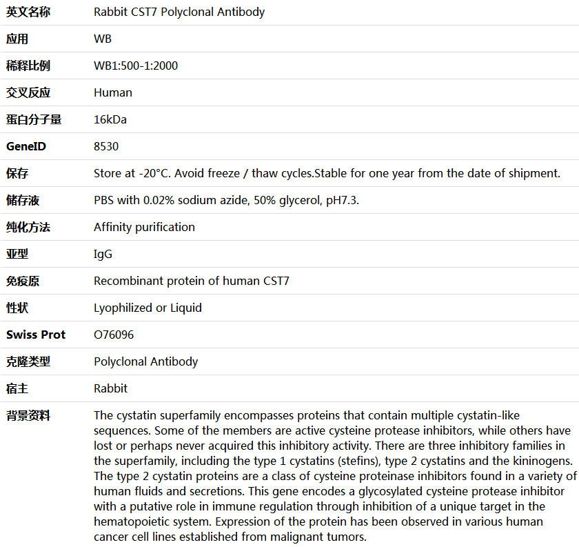 CST7 Antibody,索莱宝,K005689P-50ul