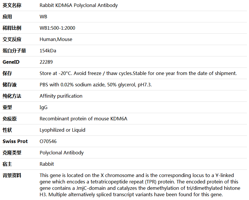 KDM6A Antibody,索莱宝,K005688P-30ul