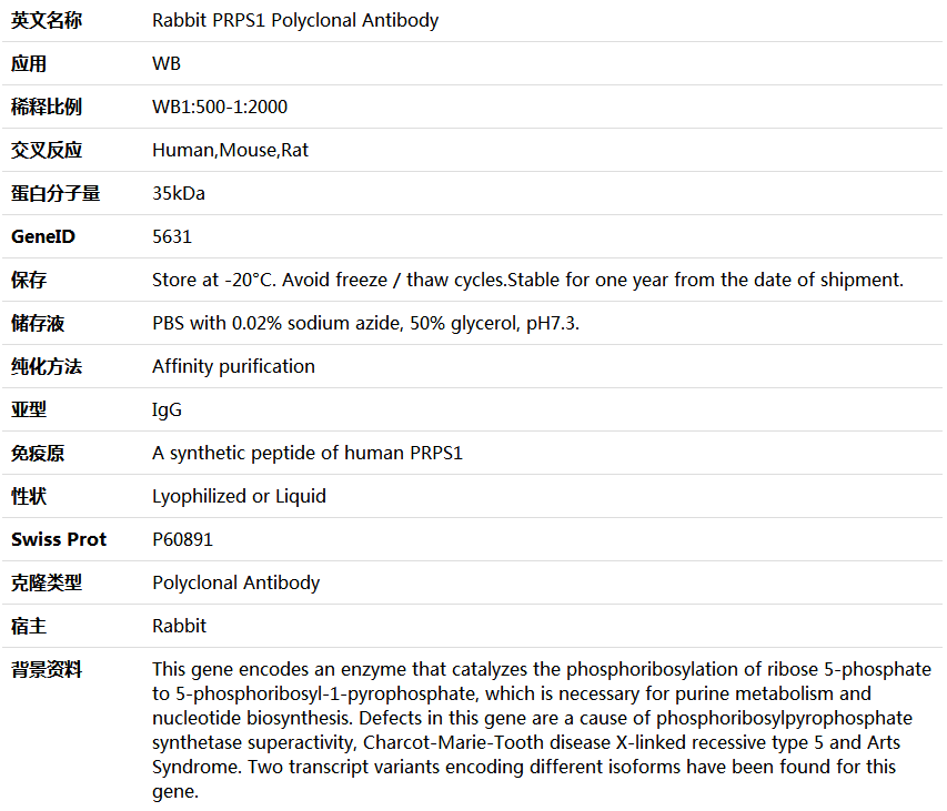 PRPS1 Antibody,索莱宝,K005681P-100ul