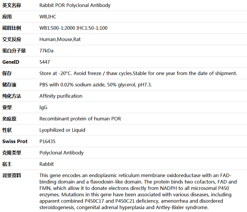 POR Antibody,索莱宝,K005679P-50ul