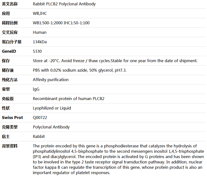 PLCB2 Antibody,索莱宝,K005678P-50ul