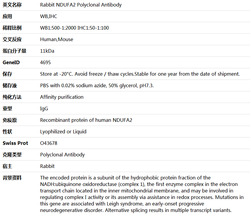 NDUFA2 Antibody,索莱宝,K005675P-50ul