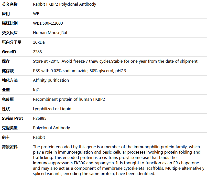 FKBP2 Antibody,索莱宝,K005669P-100ul