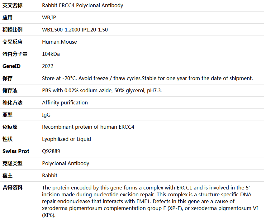 ERCC4 Antibody,索莱宝,K005668P-100ul