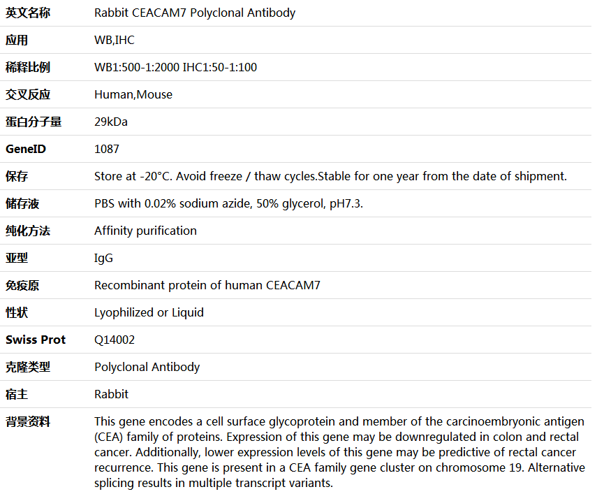 CEACAM7 Antibody,索莱宝,K005665P-50ul