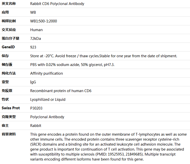 CD6 Antibody,索莱宝,K005661P-50ul