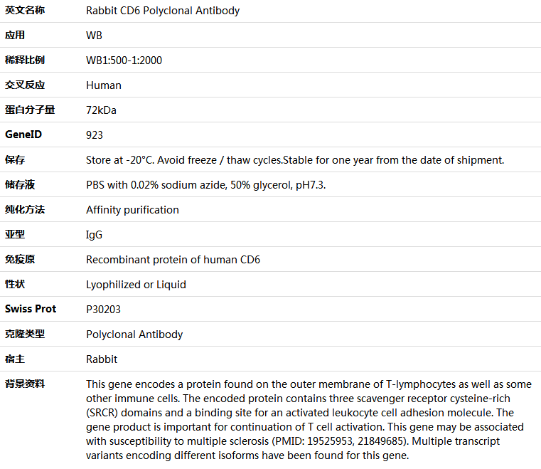 CD6 Antibody,索莱宝,K005661P-100ul