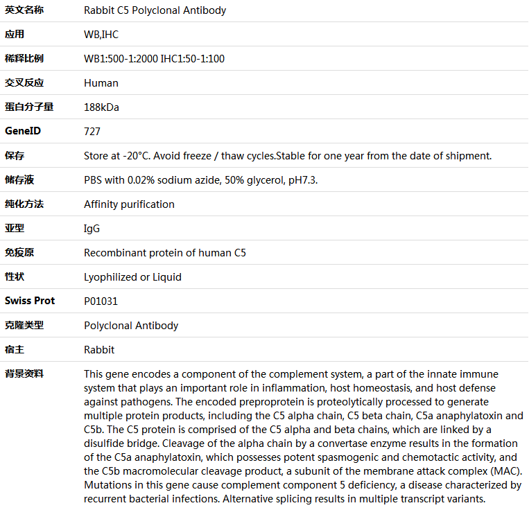 C5 Antibody,索莱宝,K005658P-30ul