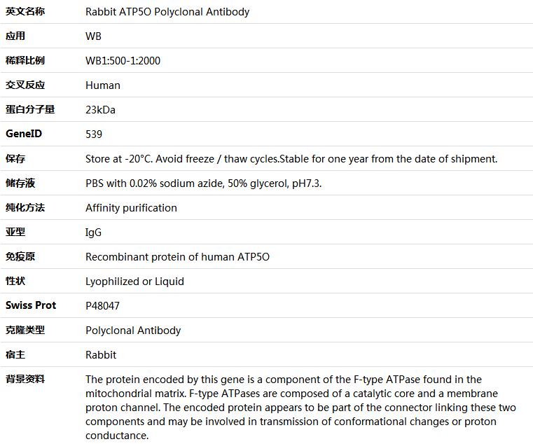 ATP5O Antibody,索莱宝,K005657P-50ul