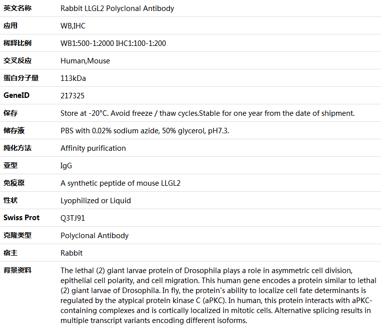 LLGL2 Antibody,索莱宝,K005656P-100ul