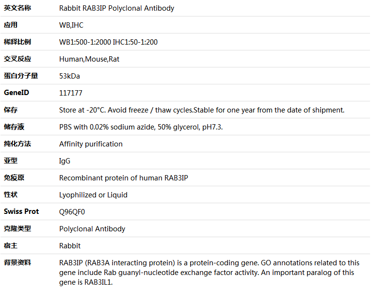 RAB3IP Antibody,索莱宝,K005654P-50ul