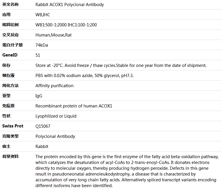 ACOX1 Antibody,索莱宝,K005653P-50ul
