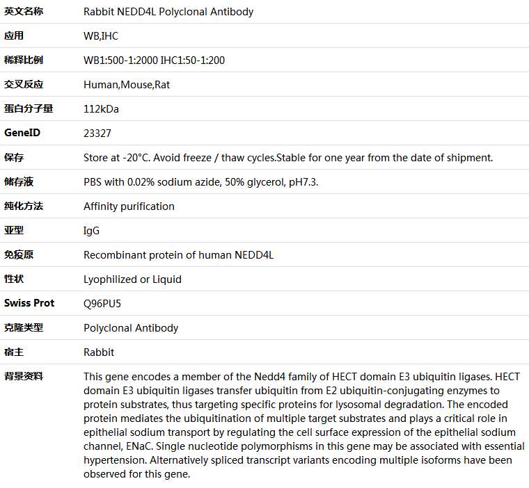 NEDD4L Antibody,索莱宝,K005649P-50ul