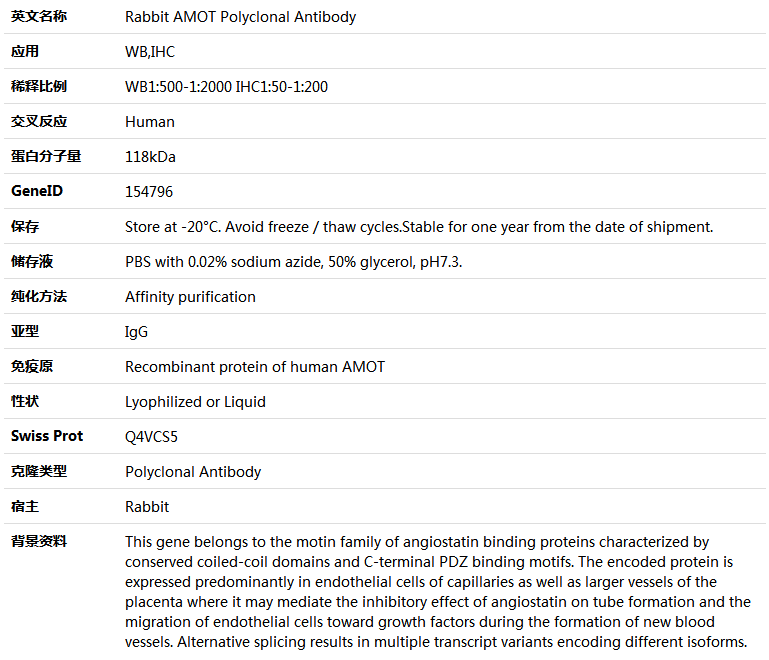 AMOT Antibody,索莱宝,K005646P-100ul