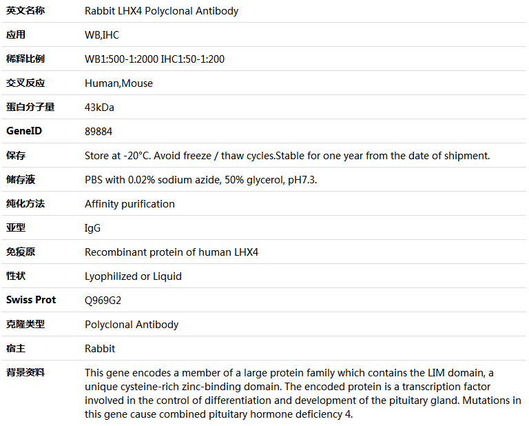 LEPREL1 Antibody,索莱宝,K005643P-50ul