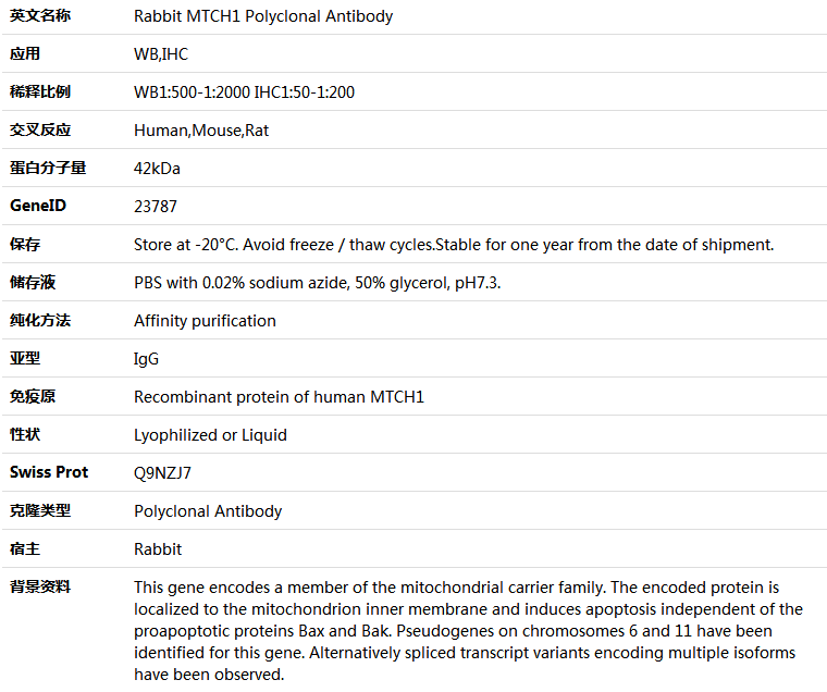 MTCH1 Antibody,索莱宝,K005641P-100ul