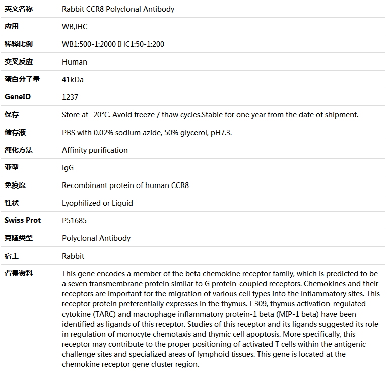 CCR8 Antibody,索莱宝,K005633P-100ul
